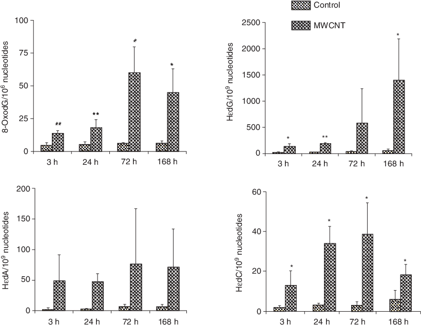 Oxidative And Lipid Peroxide-related Dna Adduct Formation - Diagram (824x642), Png Download
