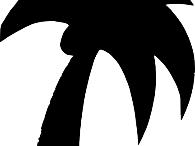 Vector Clipart Palm Tree - Palm Trees (640x480), Png Download