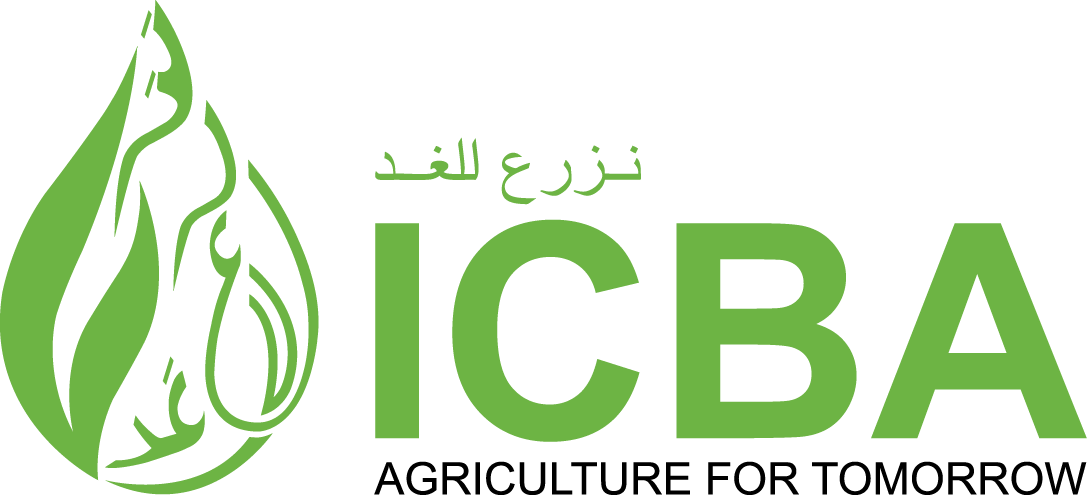 Icba Logo Color - Icba Dubai Logo (1087x495), Png Download