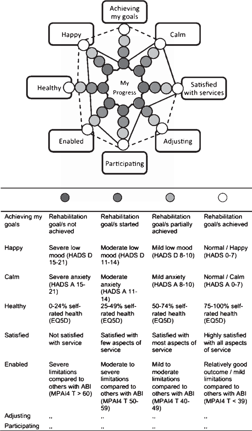 Post-acute Abi Rehabilitation Star Radar Plot, Illustrating - Diagram (850x1452), Png Download