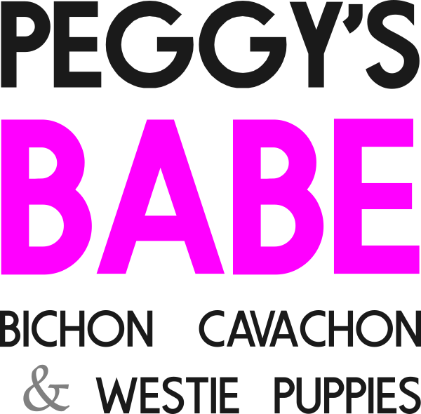 Call 265-4414 About Lifestyle & Personalities Vet Guarantee - J & L (600x590), Png Download