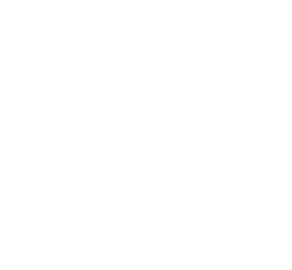 Wayne Community College - Uproar Lil Wayne Ft Swizz Beatz (600x554), Png Download
