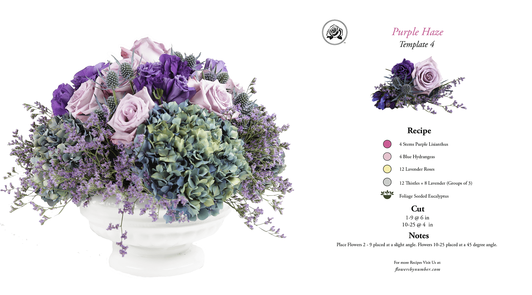 Fbn Arrangement And Recipe 0005 Gem Purple Haze Profile - Bouquet (1800x1000), Png Download