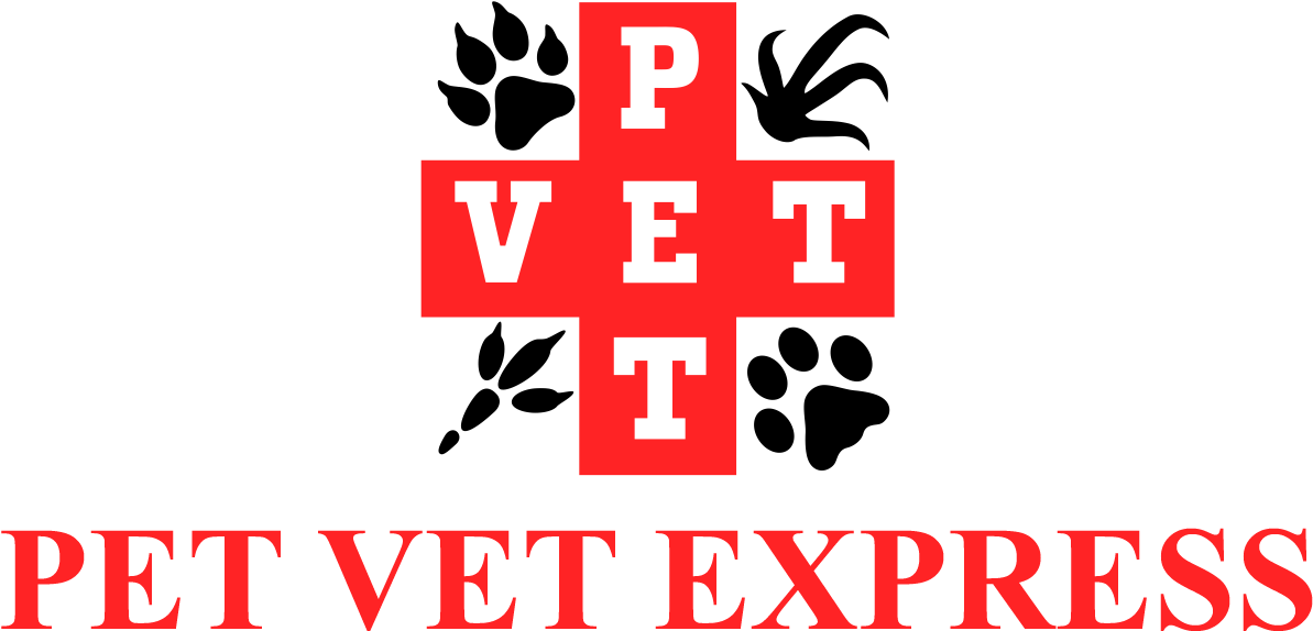 Pet Vet Express - Veterinary Physician (1202x755), Png Download