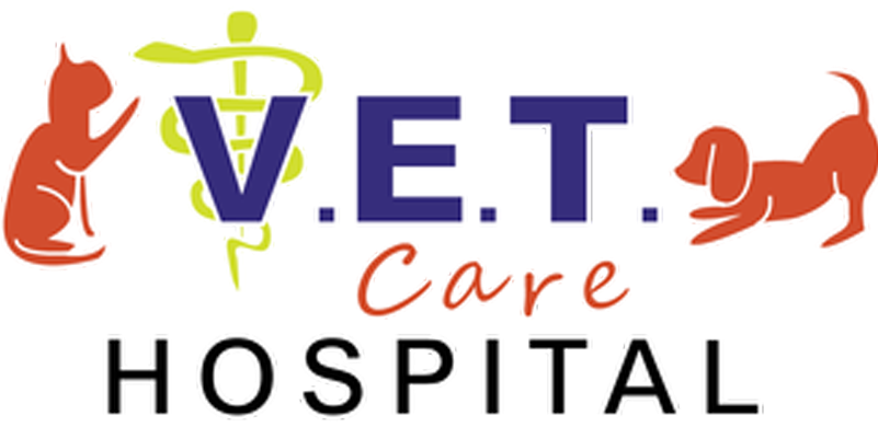 Associate Veterinarian - Veterinary Physician (800x430), Png Download