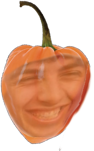 Sam Habanaro - Fruit (576x576), Png Download