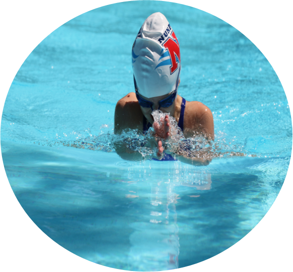 Specialised Stroke Improvement Clinics - Swimming (590x549), Png Download