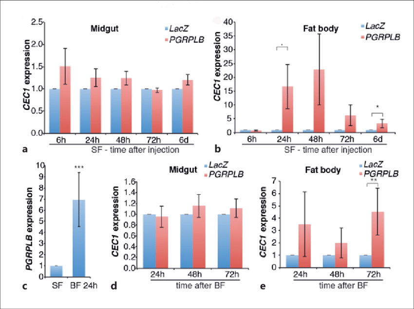 Effect Of Pgrplb Rnai On The Local And Systemic Activation - San Francisco (850x635), Png Download