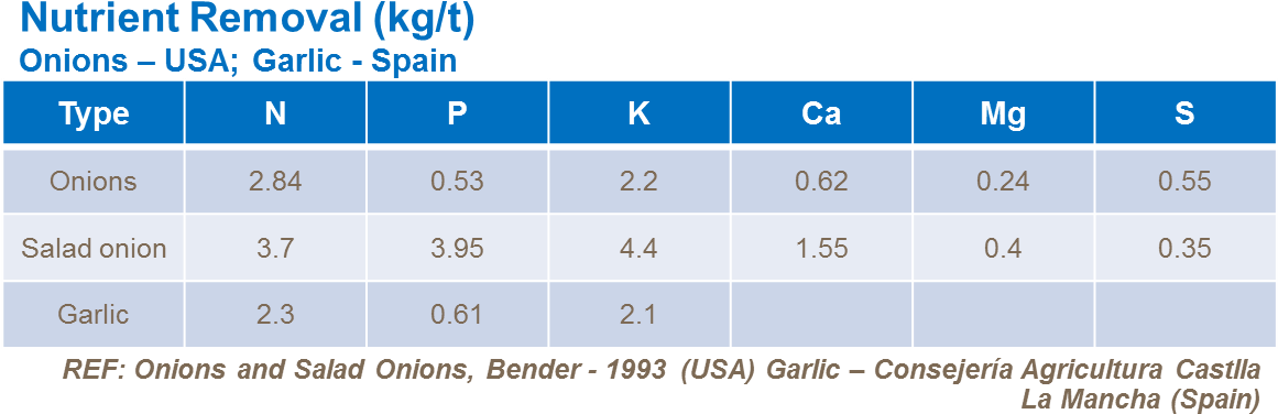 Number (1167x411), Png Download