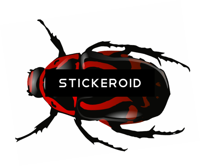 Roach Bug Bugs Insects - Beetle Clip Art (658x546), Png Download