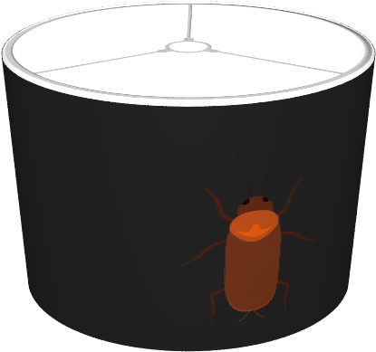 Cockroach - Carrot (674x516), Png Download
