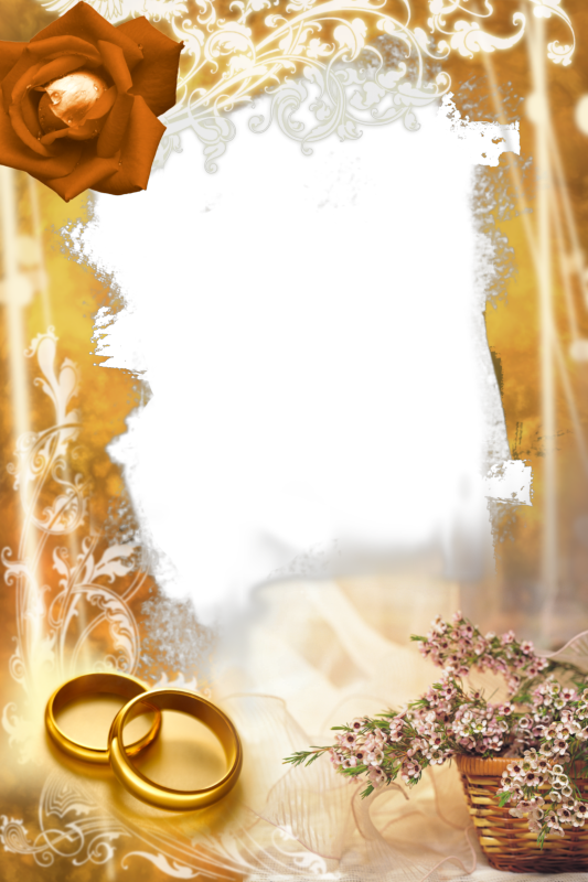 Plantilla Flores Y Anillos 02 Framed Wallpaper, Special - Pergaminos Para Bodas Png (533x800), Png Download