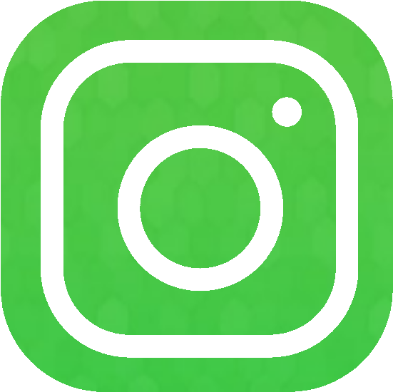 Official Islands Royale Partner Pro Player - Facebook Instagram And Snapchat Logos (726x720), Png Download