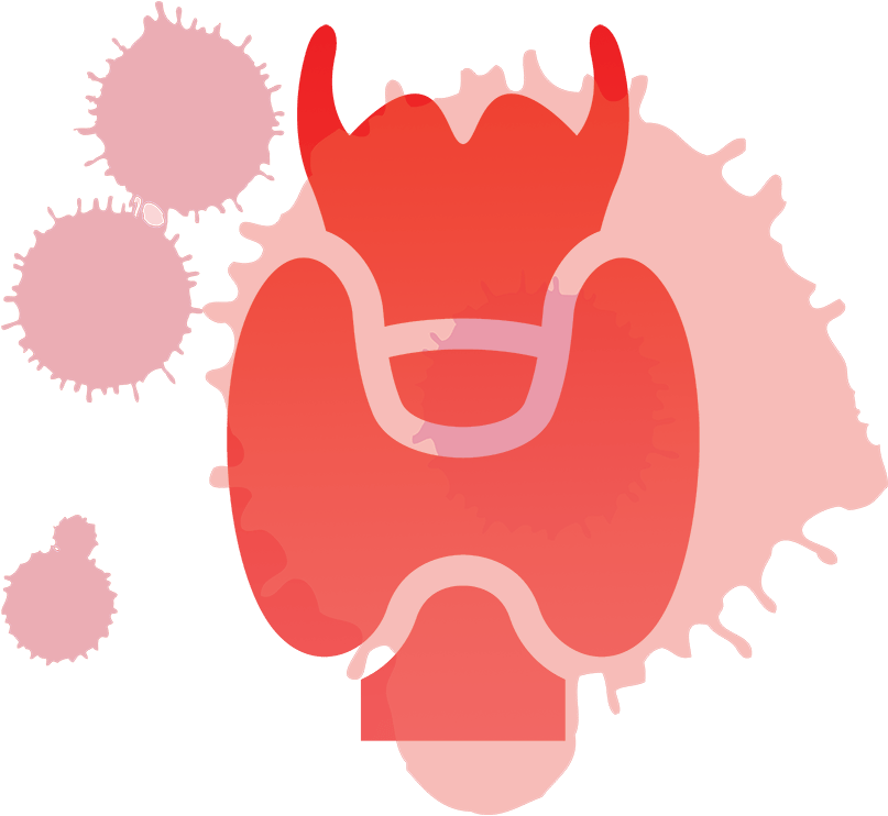 A Stylized Depiction Of The Larynx - Illustration (1000x821), Png Download