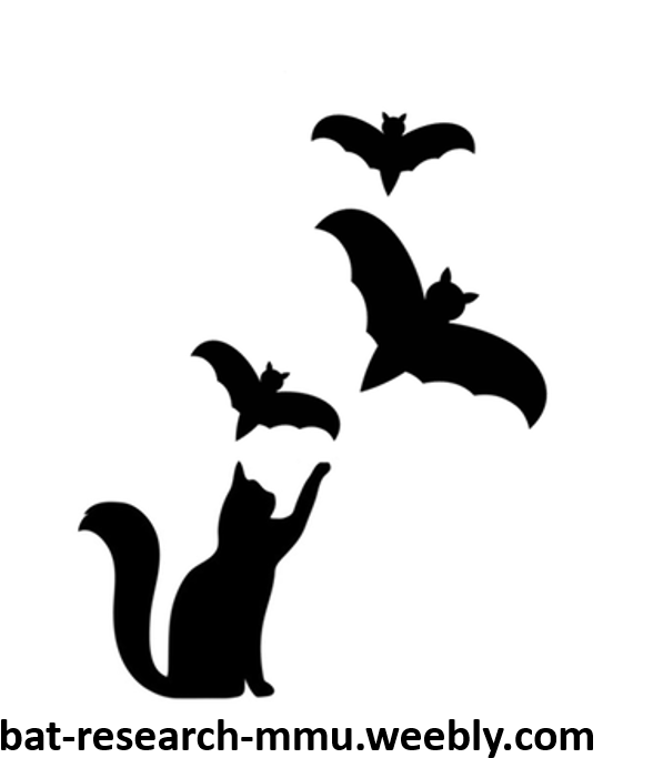 17 Jan - Silhouette (624x711), Png Download