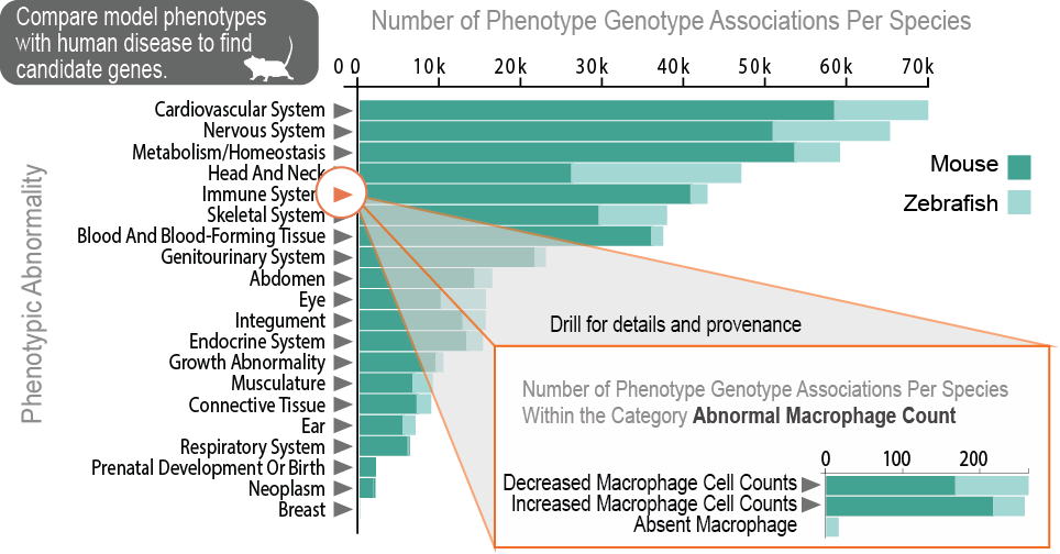 Explore Models - Human Eye Disease In Graphs (964x504), Png Download
