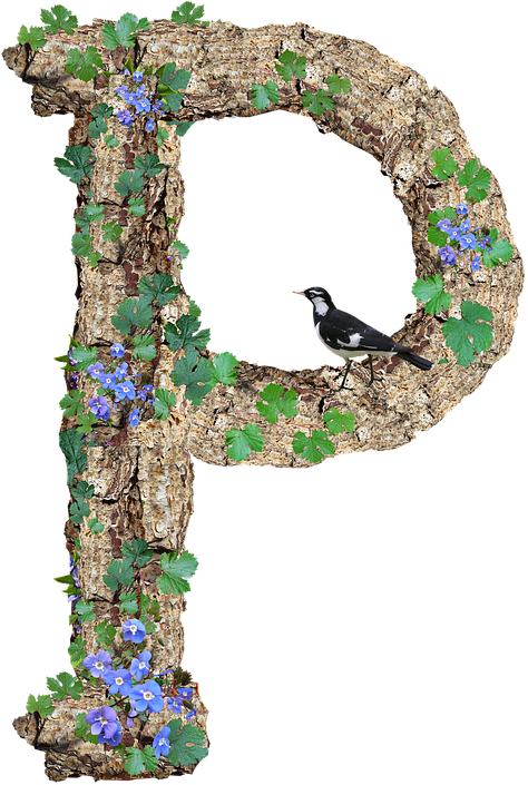 Alphabet, Letter, P, Rustic, Timber, Bark - P In Stylish Letter (487x720), Png Download