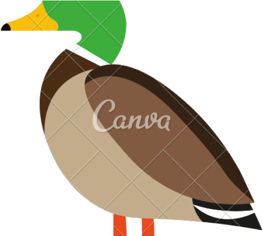 Use Canva Like A Pro (640x480), Png Download