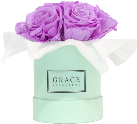 Baby Lilli Bouquet - Hybrid Tea Rose (569x600), Png Download