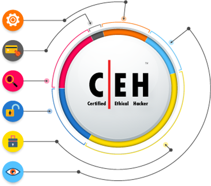 Ethical Hacking Ceh Certification Learning-pluralsight - Certification Ethical Hacking (800x923), Png Download