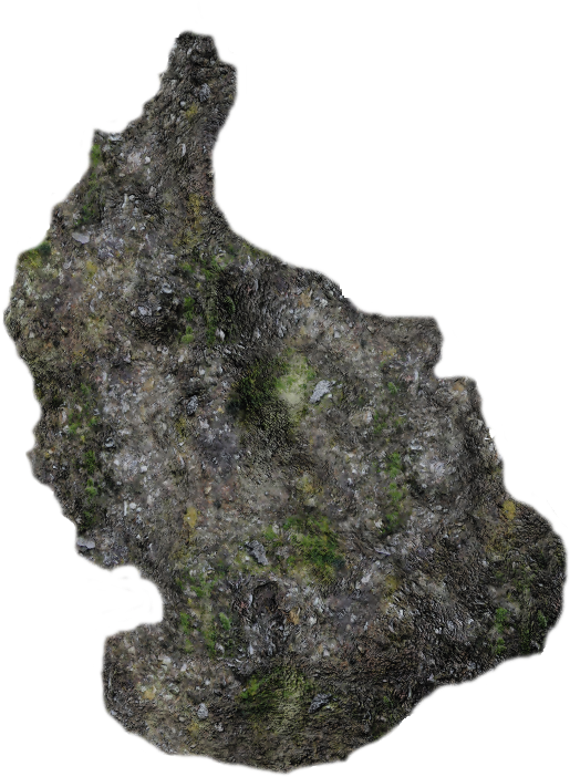 04 320k Moss4 Sc 06 Feb 2009 - Outcrop (584x752), Png Download