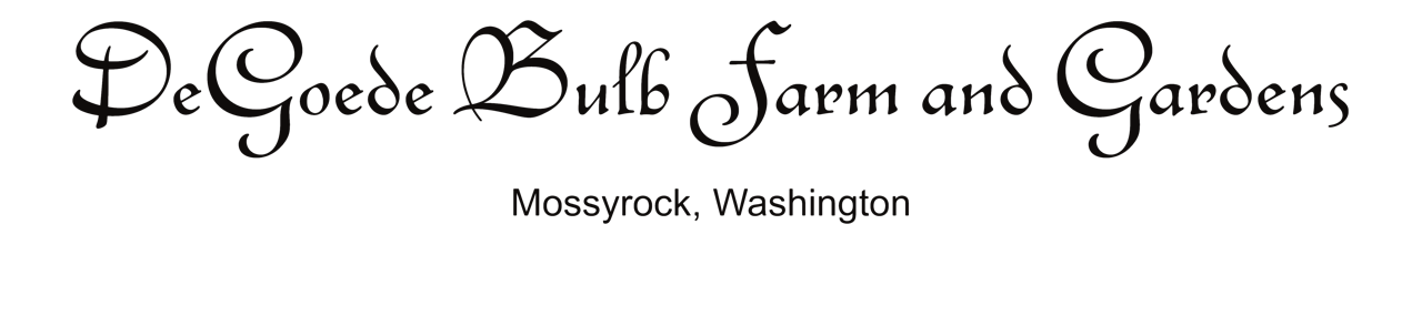 Children Of Bodom (1280x285), Png Download