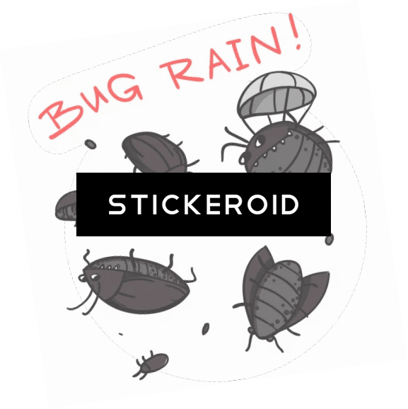 Bug Rain - House Fly (577x578), Png Download