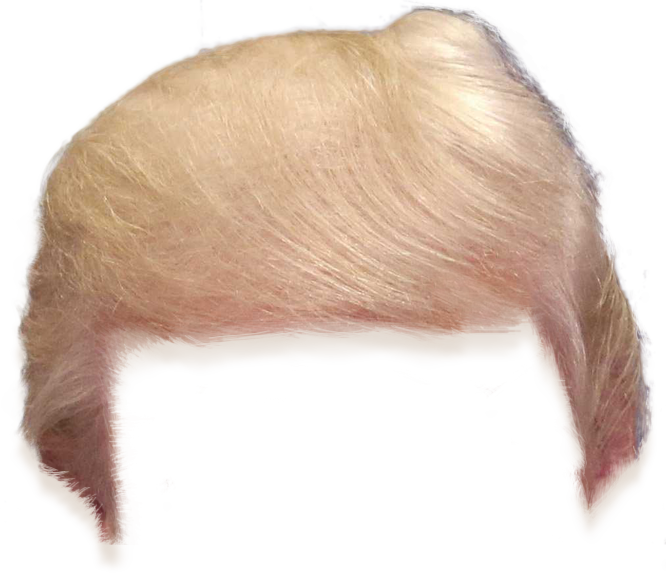 Trump Hair Cutout Full Size Png Download Seekpng