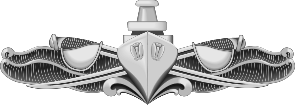 What Is The Us Navy Enlisted Surface Warfare Specialist - Enlisted Surface Warfare Specialist (1024x364), Png Download