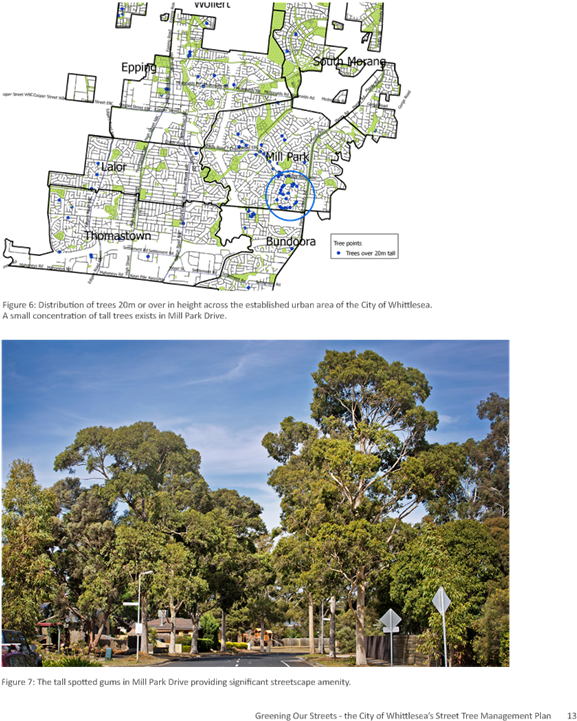 3 City Transport And Presentation 9 Aug - Tree (652x947), Png Download