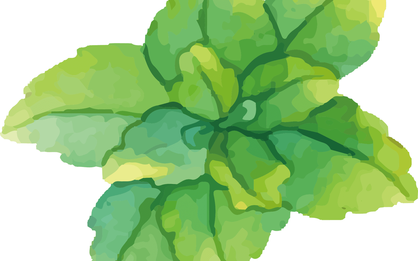 Watercolor Painting Green Mint Water Painted Green - Water Paint Mint (1368x855), Png Download