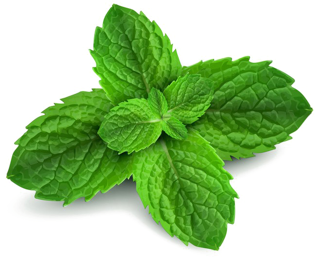 Peppermint Png Free Download - Epic Dental Mints Peppermint -- 60 Pieces (pack (725x590), Png Download