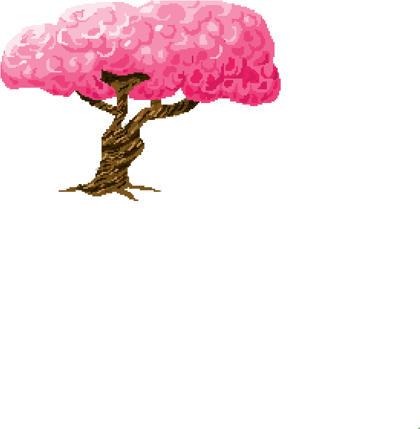Sakura Tree - Drawing (975x975), Png Download