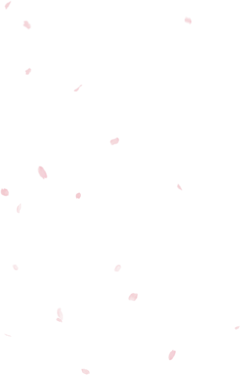 An Cherry Blossom Season 2018 Veltra Tours Activities - Pattern (936x1460), Png Download