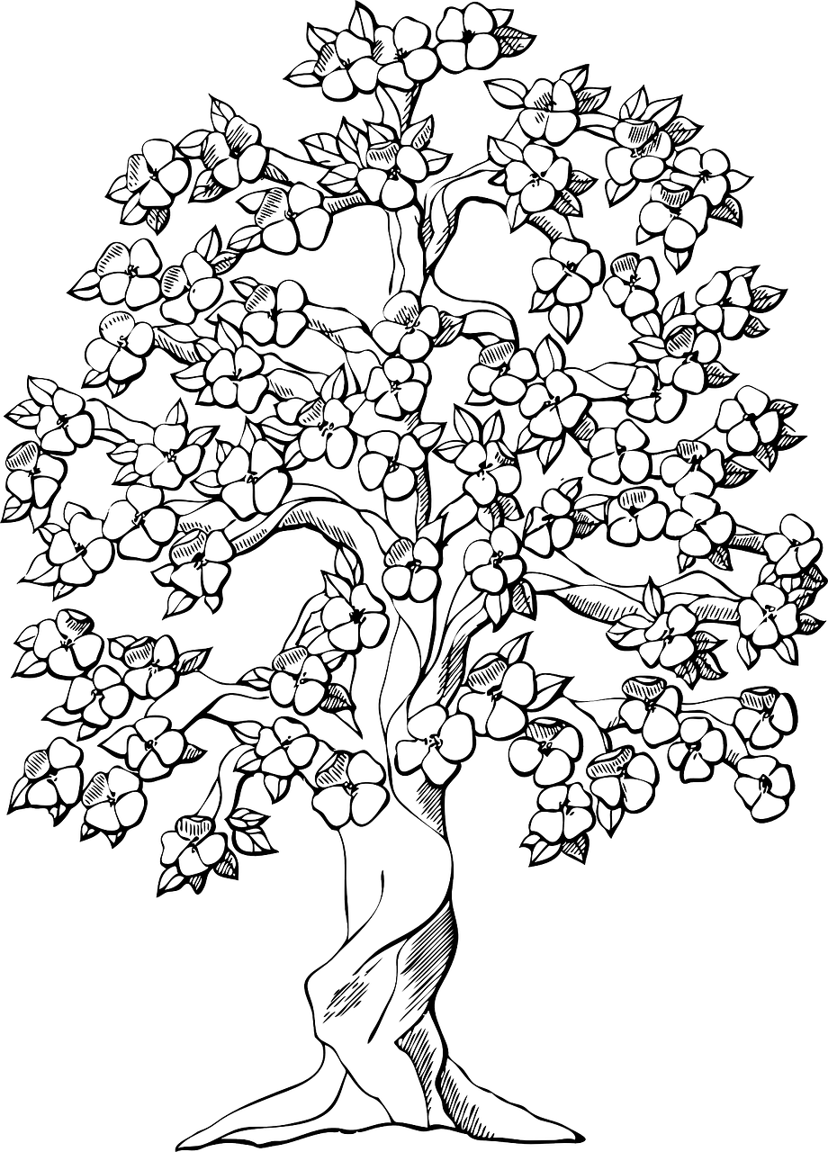 Magnolia Tree At Getdrawings Com Free For - Tree With Flowers Drawing (426x592), Png Download