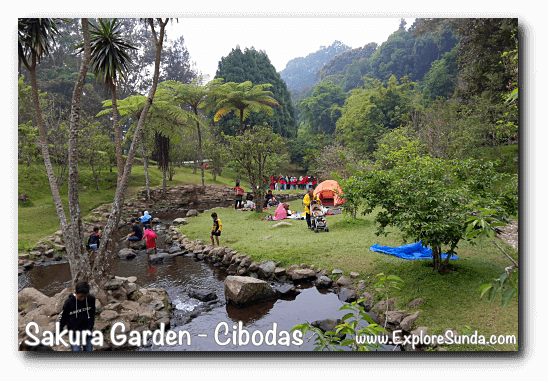 A Picnic At Sakura Garden - Cibodas Botanical Garden (548x381), Png Download