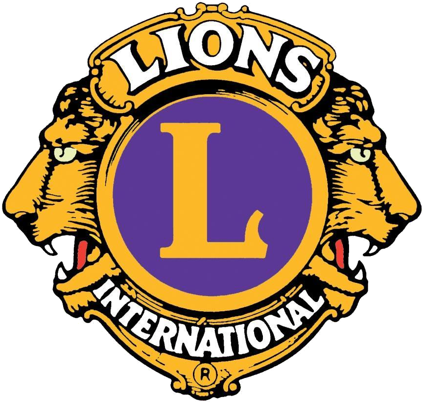 "ordinary People, Amazing Things" - Lions International Png (864x820), Png Download