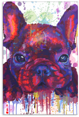 French Bulldog Canvas Wrap 1703-6 - Gallery Wrap (400x400), Png Download