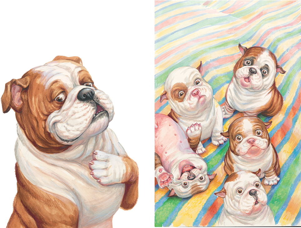 10 - Jpeg (1000x730), Png Download