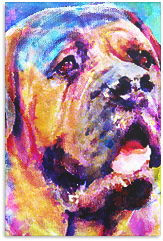 English Mastiff Canvas P43 - Pug (1024x1024), Png Download