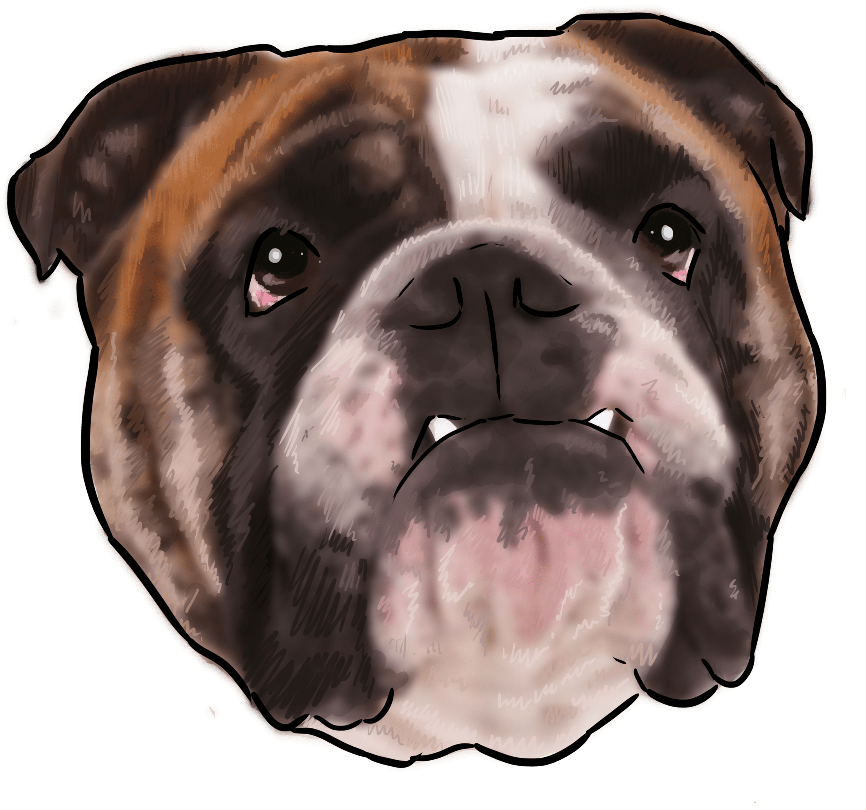 40 Why Are You A Bulldog - Dog (3000x3000), Png Download