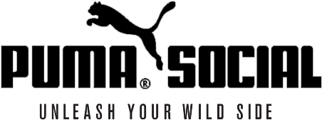 Puma Tagline Search, Slogan, Pumas, Searching - Puma Eyewear (531x272), Png Download