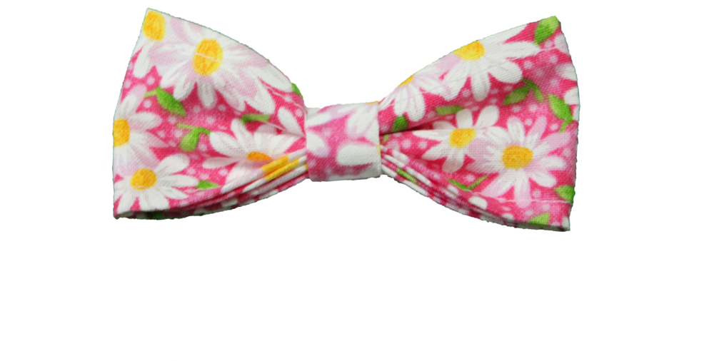 Daisy Bow Tie Jax N Inc Large - Bow Tie (1024x683), Png Download