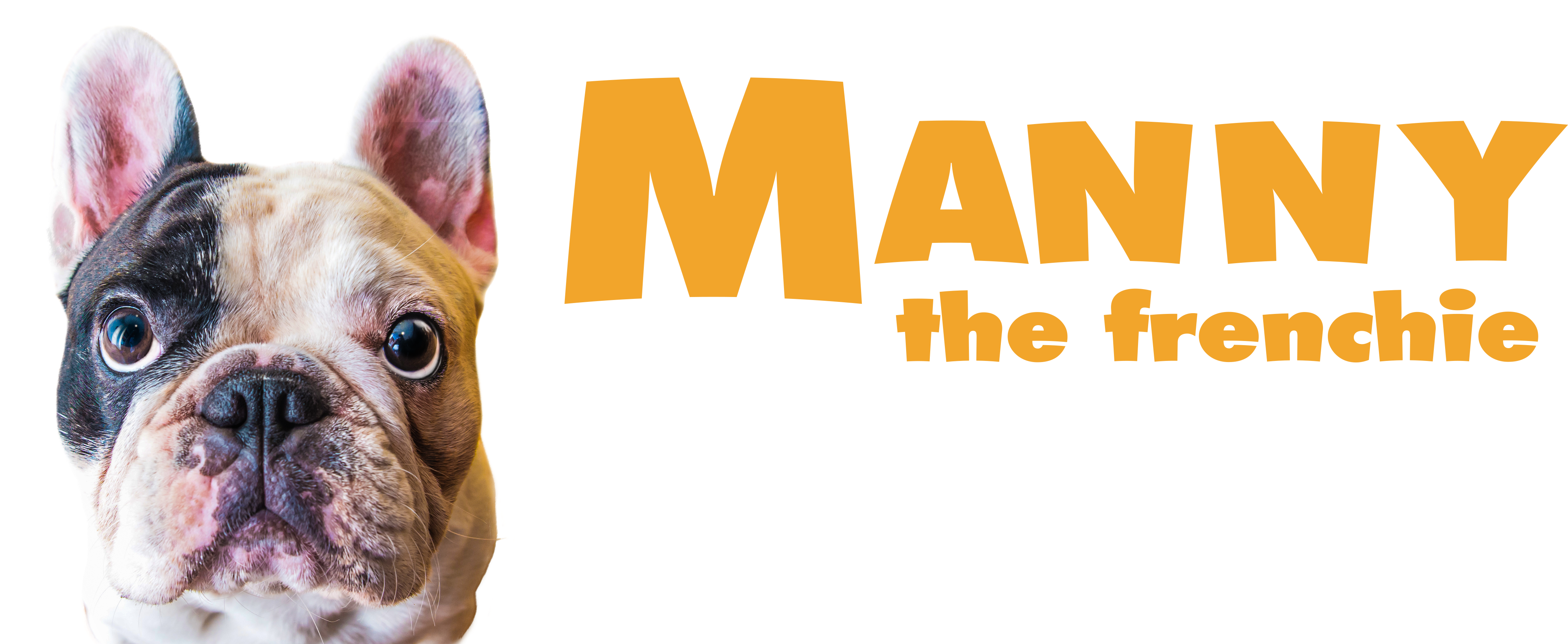 2018 Manny The Frenchie - Motability (4267x1712), Png Download