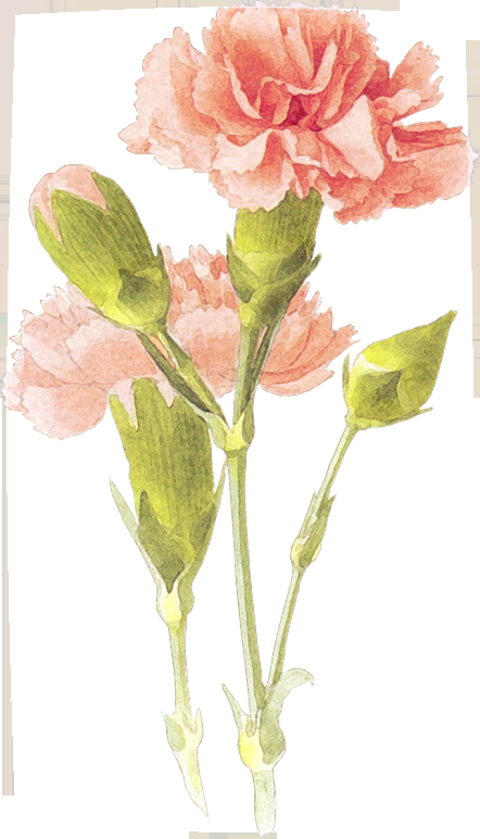 Love Myself Love Yourself (442x772), Png Download