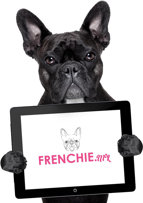 Venta De Bulldog Frances Exóticos En México - Frenchie Bulldog Funny Quote (786x710), Png Download
