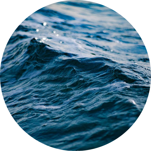 These Free Field Trip Experiences Include A Complimentary - Seawater (500x500), Png Download