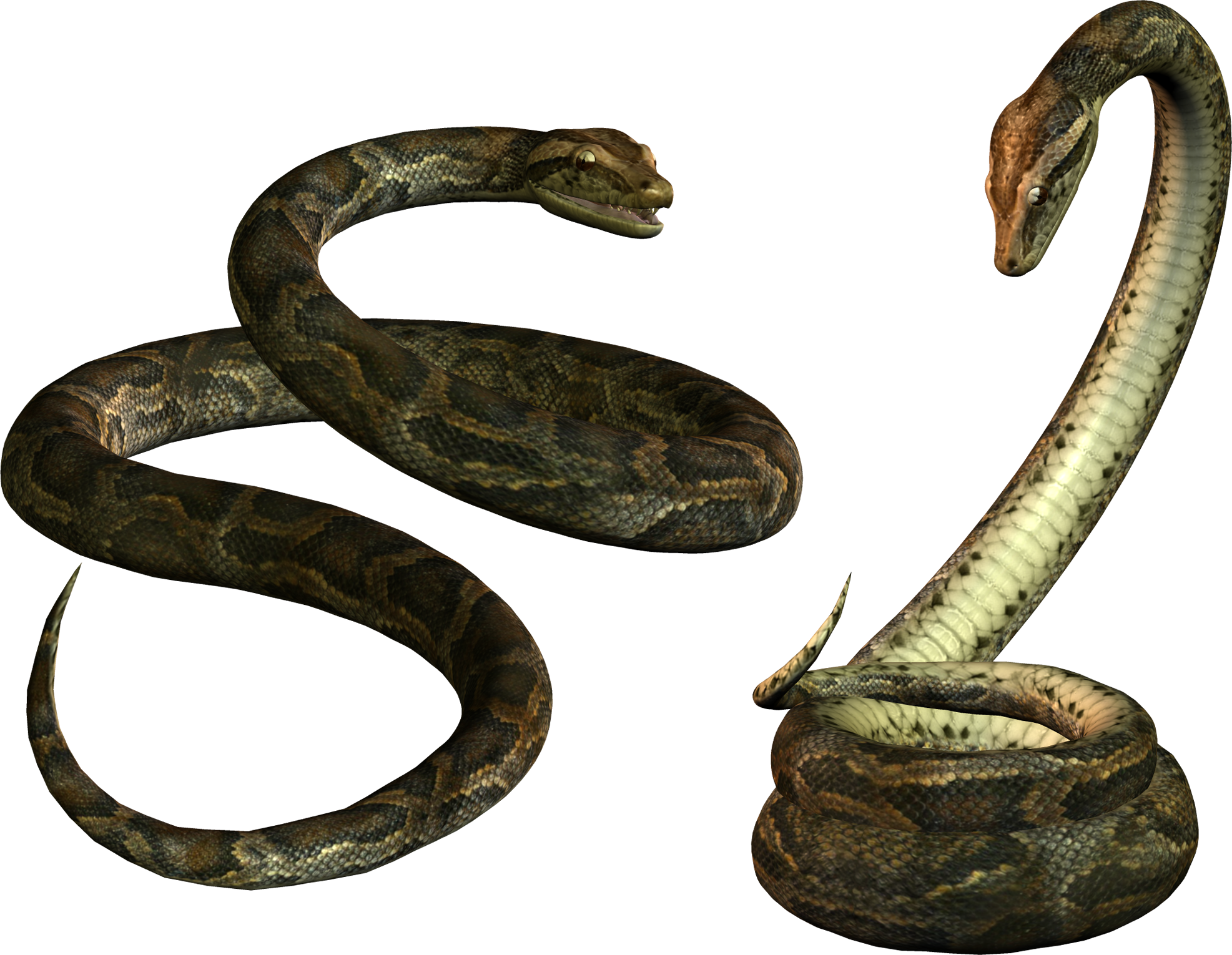 Free Icons Png - Snake Png (1973x1530), Png Download