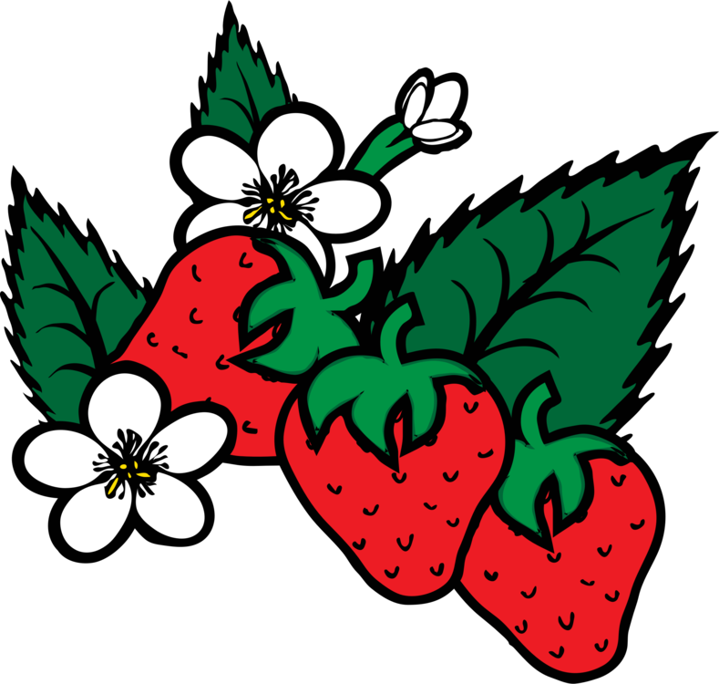 Pre-k Berry Fun Field Trip - Strawberry Plant Clip Art (700x665), Png Download