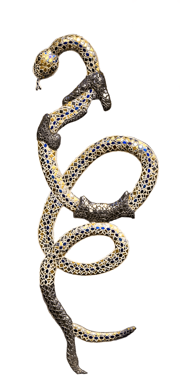 Snake Shedding Skin - Portable Network Graphics (673x1280), Png Download